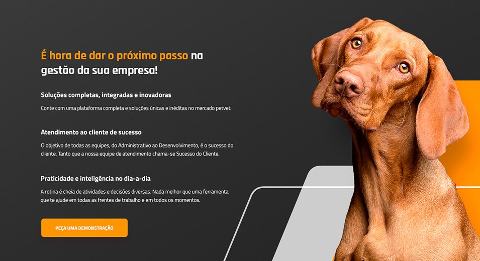 Portfolios 21 thumb vettus